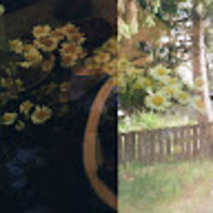 Meet your Posher, Clara